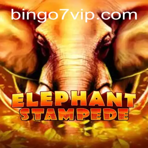 The Thrilling World of ElephantStampede: An Insight into Bingo7