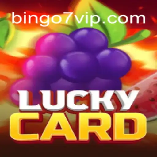 Exploring the World of LuckyCard with Bingo7