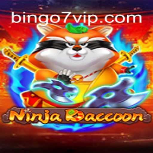 Exploring NinjaRaccoon: The Thrilling World of Bingo7